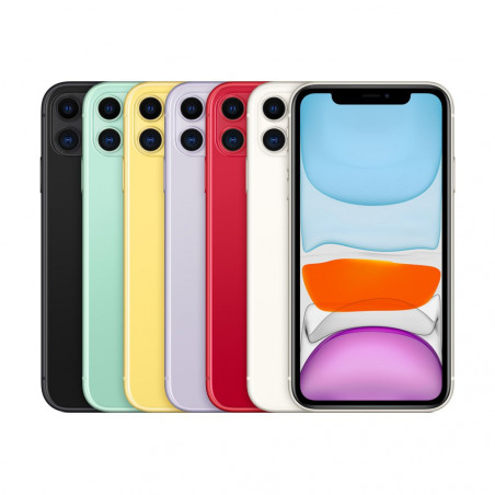 Display Reparatur iPhone 11 (alle Farben)