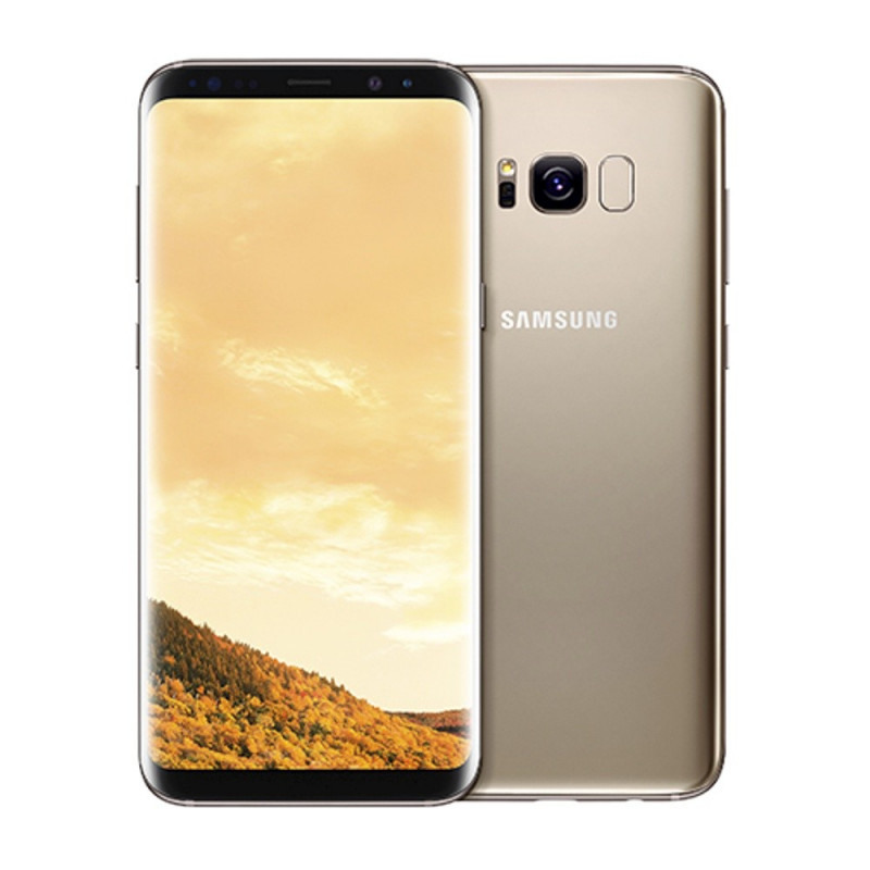 Samsung Galaxy S8+ Display Reparatur