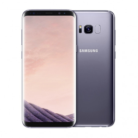 Samsung Galaxy S8+ Display Reparatur