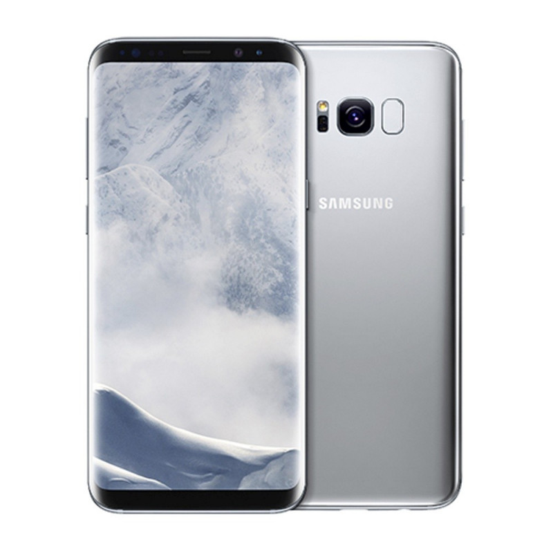 Samsung Galaxy S8+ Display Reparatur