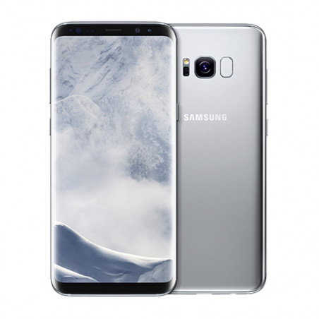 Samsung Galaxy S8+ Display Reparatur