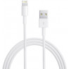 Apple Lightning auf USB Kabel 1m, Weiß | iPhone Zubehör Nürnberg